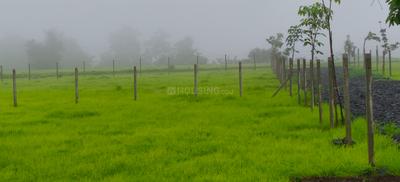 Image of 12000 Sq.ft Residential Plot / Land for sale in Shahapur, Thane for Rs. 2988000