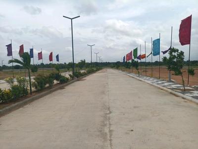 Century Nature City Internal Roads 1