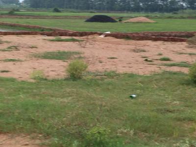 Image of 1000 Sq.ft Residential Plot / Land for sale in Benupur, Bhubaneswar for Rs. 2300000