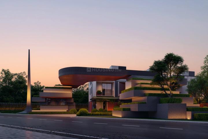 Merusri Antelopes Main Image 1