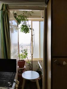 Bedroom One Image of 765 Sq.ft 2 BHK Apartment / Flat for sale in Paldi Ahmedabad for Rs. 5000000
