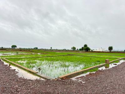 Image of 1000 Sq.ft Residential Plot / Land for sale in Naya Raipur, Raipur for Rs. 500000