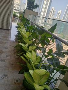 Image of 4400 Sq.ft 4 BHK Duplex for sale in Indiabulls Sky Forest A2, Parel, Mumbai for Rs. 147500000
