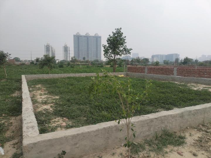 green valley Main Image 1