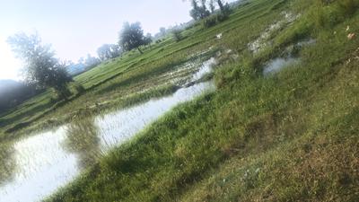 Image of 13500 Sq.ft Residential Plot / Land for sale in Magadh Colony, Gaya for Rs. 30000000
