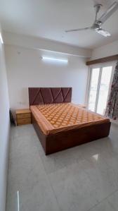 Bedroom Image of 1800 Sq.ft 3 BHK Apartment / Flat for rent in Tilak Nagar Jaipur for Rs. 65000