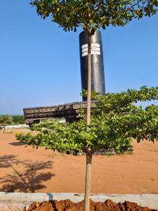Image of 160 Sq.ft Residential Plot / Land for sale in Kadthal, Hyderabad for Rs. 3000000