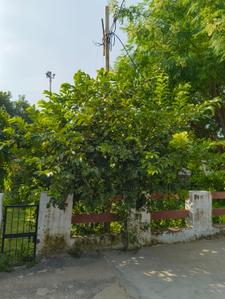 Image of 2070 Sq.ft 4.5 BHK Villa for sale in Sikandra, Agra for Rs. 24000000