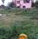 New Town Action Area 3 Plot View 2