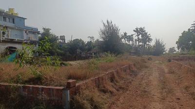 Image of 93108 Sq.ft 4 BHK Farm House for sale in Morjim, Goa for Rs. 1100000000