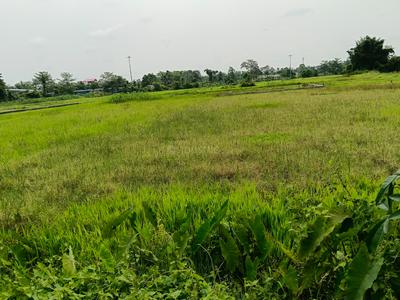 Image of 9048 Sq.ft Residential Plot / Land for sale in Deka Chuburi Kudar Bari Gaon, Tezpur for Rs. 1600000