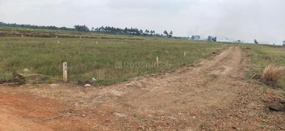 Image of 1300 Sq.ft Residential Plot / Land for sale in Atharanala, Puri for Rs. 1300000