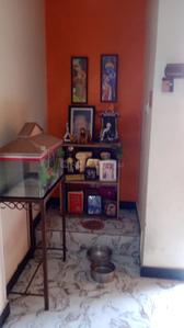 Hall Image of 1290 Sq.ft 2 BHK Independent House for sale in Mopka Bilaspur for Rs. 4750000