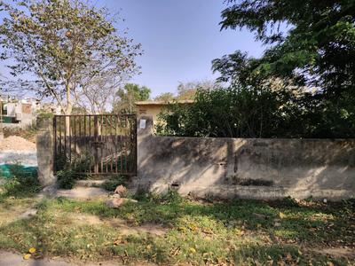 Pocket D Plot View 2