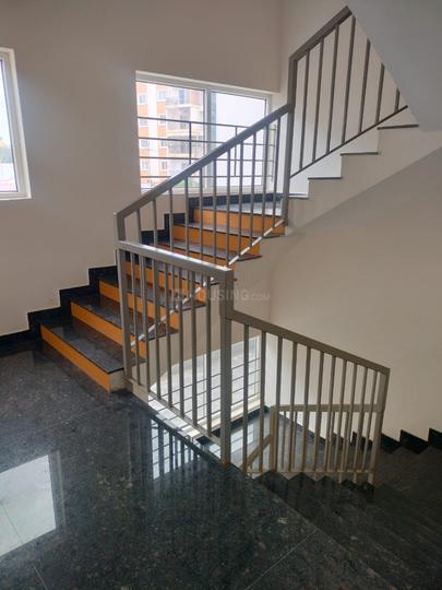 Vertex Wellington Main Image 1