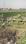 Fatwah Main Image 1