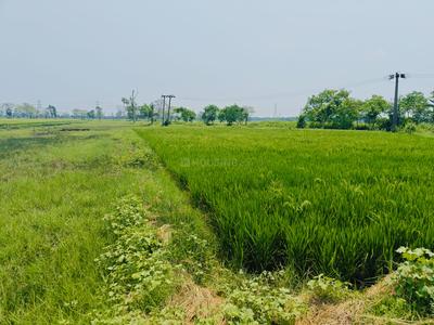 Image of 2160 Sq.ft Residential Plot / Land for sale in Sonarpur, Kolkata for Rs. 750000