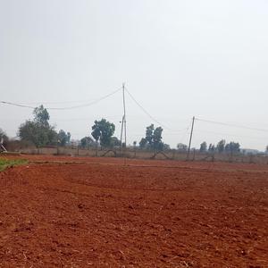 Sunshine D Greens Plot View 3