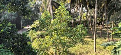 Image of 5700 Sq.ft Residential Plot / Land for sale in Padukodi, Mangalore for Rs. 11500000