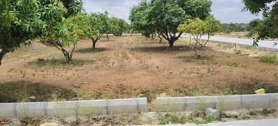 Image of 10890 Sq.ft Residential Plot / Land for sale in Narsapura, Kolar for Rs. 6534000