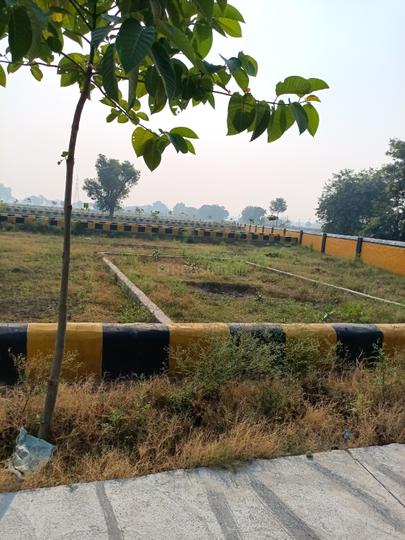Kakua Main Image 1