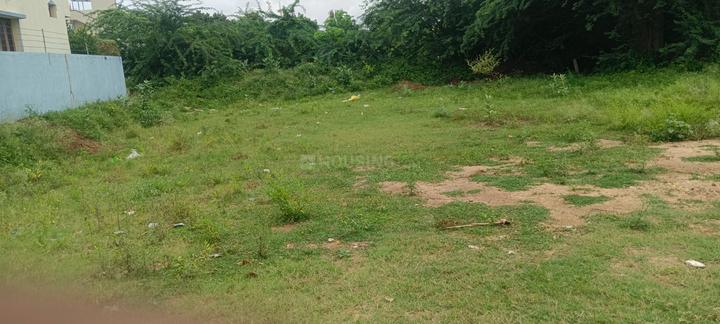 Saibaba Colony, Thatithopu Main Image 1