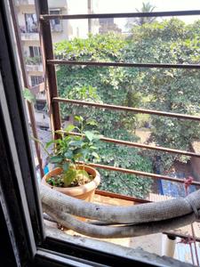 Balcony Image of 550 Sq.ft 2 BHK Apartment / Flat for sale in Mumbra Thane for Rs. 1250000