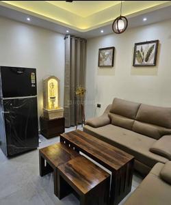 Hall Image of 720 Sq.ft 1 BHK Builder Floor for rent in Saket New Delhi for Rs. 25000