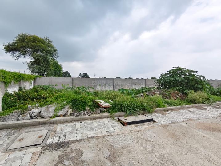 County Walk Bonsai Township Jhalaria Bypass Indore Main Image 1