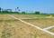 Orchid green  Plot View 2