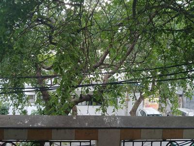Balcony Image of 1800 Sq.ft 3 BHK Builder Floor for sale in Rajouri Garden New Delhi for Rs. 25000000