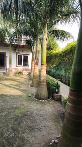 Image of 1500 Sq.ft 3 BHK Farm House for sale in Dkrrish Green Beauty Farms, Sector 135, Noida for Rs. 8500000