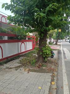 Image of 3200 Sq.ft 3.5 BHK Independent House for sale in Aliganj, Lucknow for Rs. 30000000