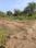 Besa Main Image 1