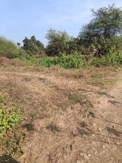 Besa Main Image 1