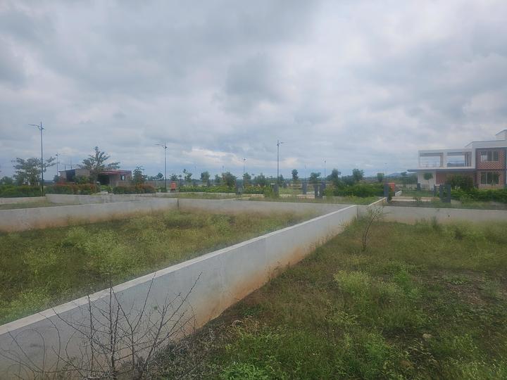 Uruli Kanchan Main Image 1