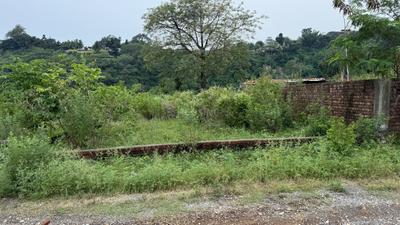 Pushpanjali Orchid Park Plot View 2