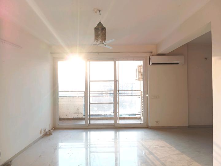 Tulip Violet Main Image 1