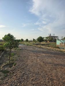 Plot View