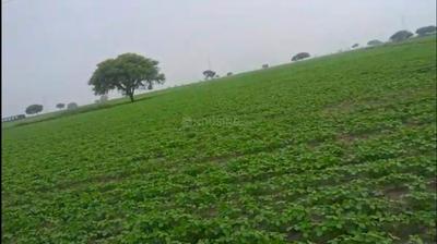 Sanwer Plot View 3