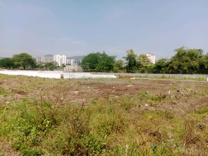 Goldmark Rhythm Main Image 1