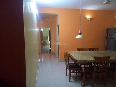 Without Brokerage 3 BHK Flat