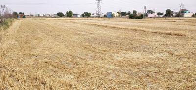 Ganaur Plot View 2