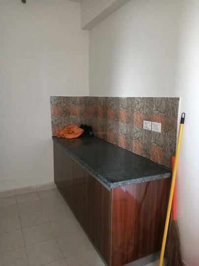 Tulip Violet Main Image 1