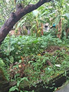 Image of 2160 Sq.ft Residential Plot / Land for sale in Chinar Park, Kolkata for Rs. 6500000