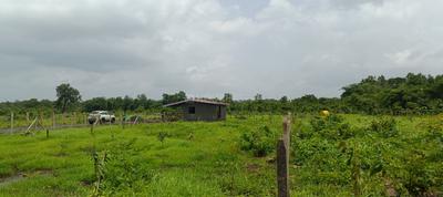 Image of 12050 Sq.ft Residential Plot / Land for sale in Shivale, Thane for Rs. 2050000