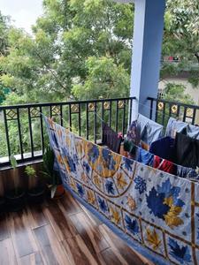 Balcony Image of Aarohan PG in Shankar Nagar, Raipur 