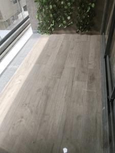 Living Room Image of 1100 Sq.ft 2 BHK Apartment / Flat for sale in Godrej Green Glades, Jagatpur Ahmedabad for Rs. 6000000