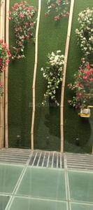 Balcony Image of 2000 Sq.ft 3.5 BHK Builder Floor for rent in Sarvapriya Vihar New Delhi for Rs. 150000
