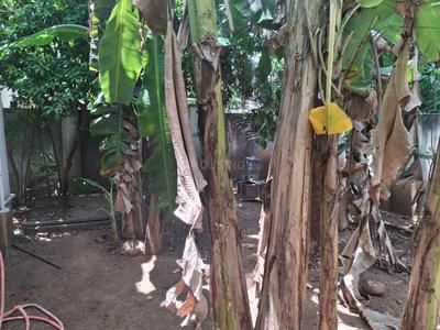 Image of 1453 Sq.ft 4 BHK Villa for sale in Ponmar, Chennai for Rs. 12000000